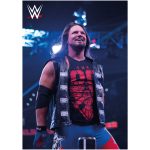 WWE AJ Styles In Ring Poster- Unframed A3
