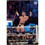 WWE Triple H in Ring Poster - Unframed A2