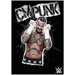 WWE CM Punk Black and White Graphic Poster - Unframed A3