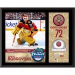 Sergei Bobrovsky Florida Panthers 2026 NHL Winter Classic 12" x 15" Sublimated Plaque with Game-Used Ice - Limited Edition of 250